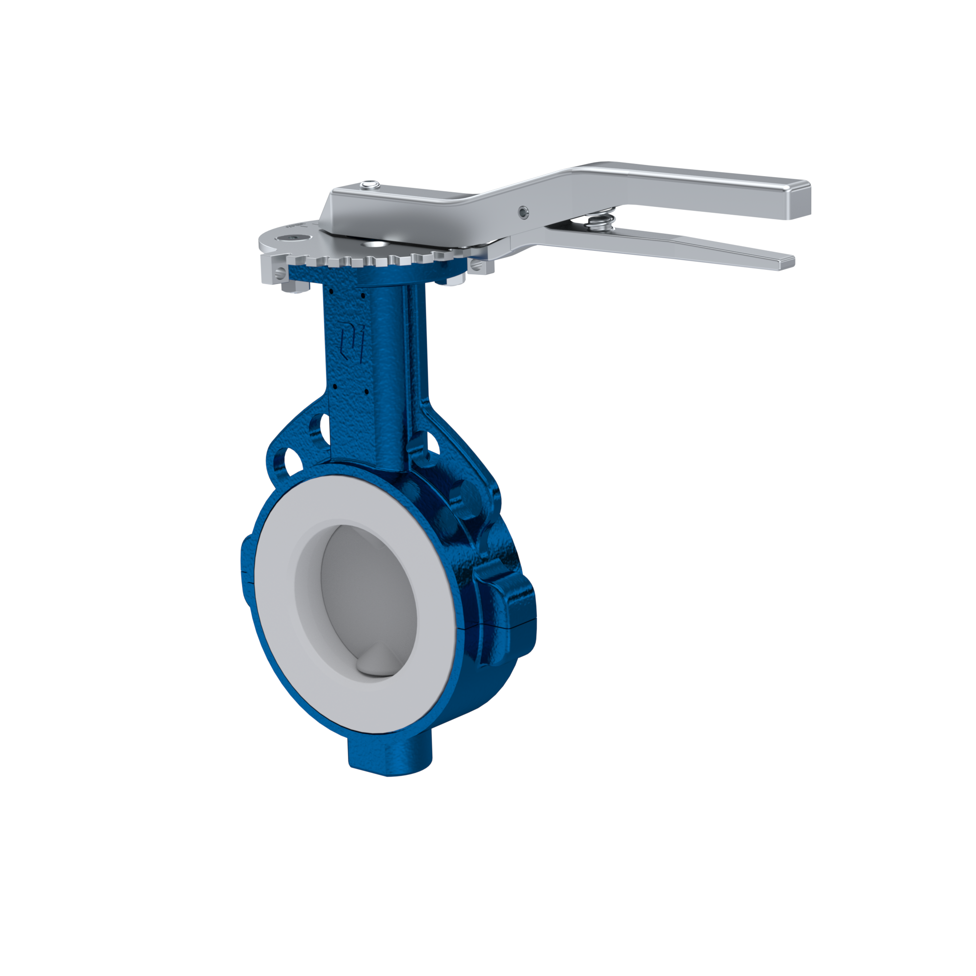 Butterfly-valve PTFE AK09 DN100 ANSI150 lever silicone insert
