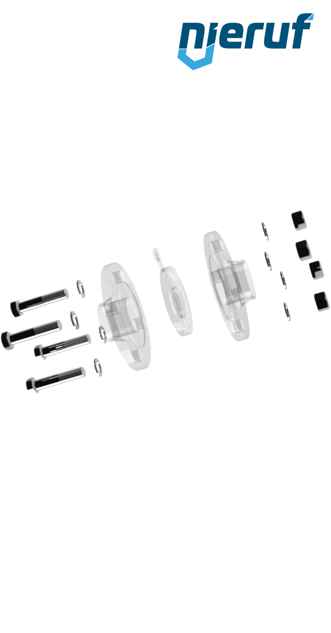 joint set swing check valve/flange DN32 - 1 1/4" Inch for flange PN10/16 stainless steel