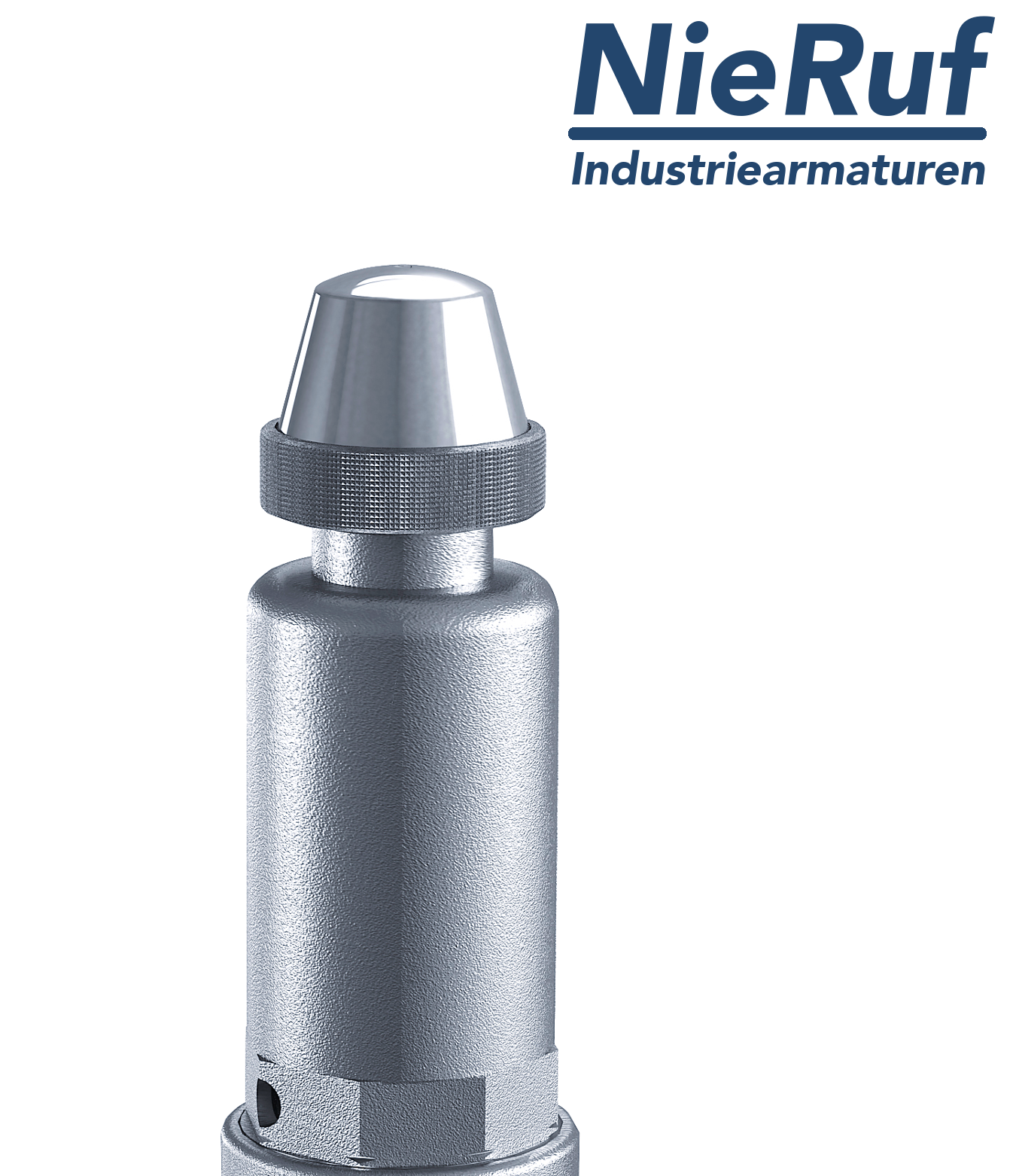 safety valve 2" x 2" fm SV06 liquid media, stainless steel FKM