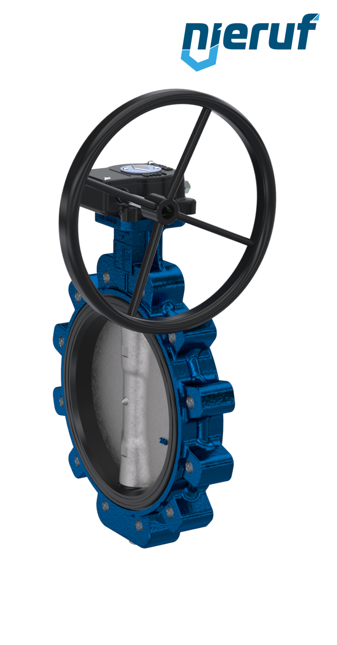 Butterfly valve AK02 DN 250 PN10 FPM Worm gear