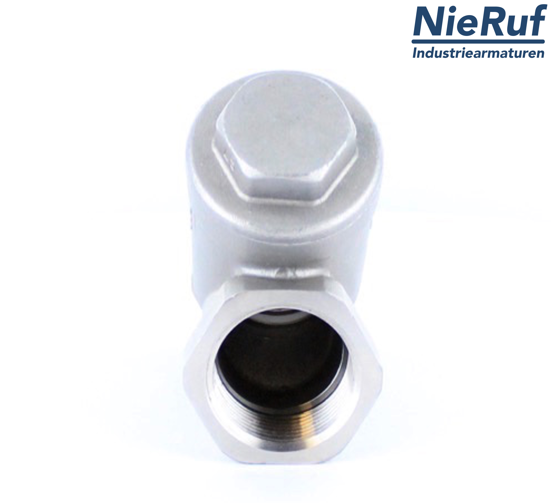 check valve DN25 - 1" inch stainless steel 1.4408 PTFE