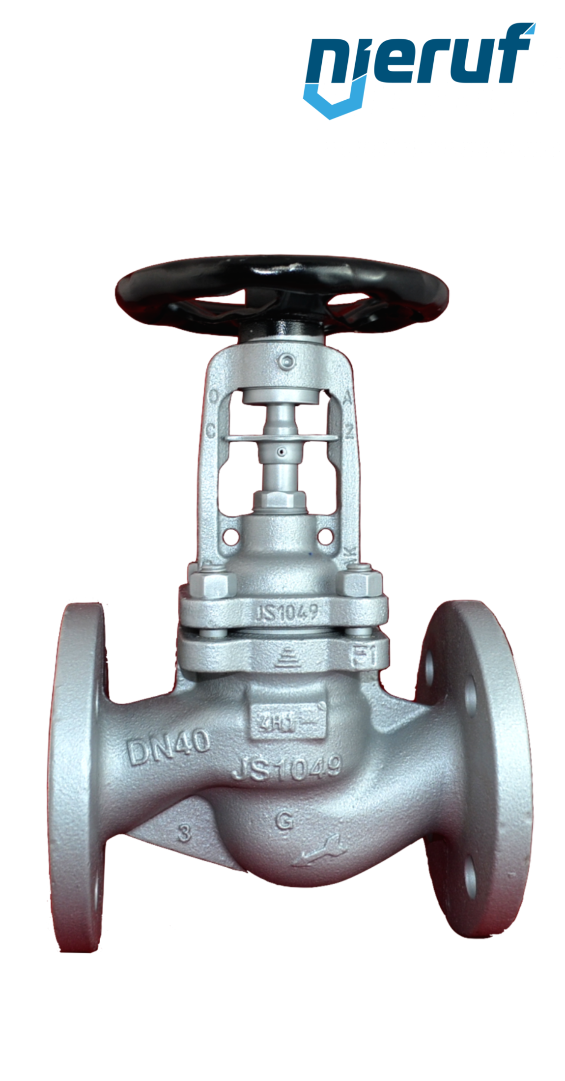 Globe valve DN 25 PN40 AV04 stainless steel 1.4408 Isolation plug
