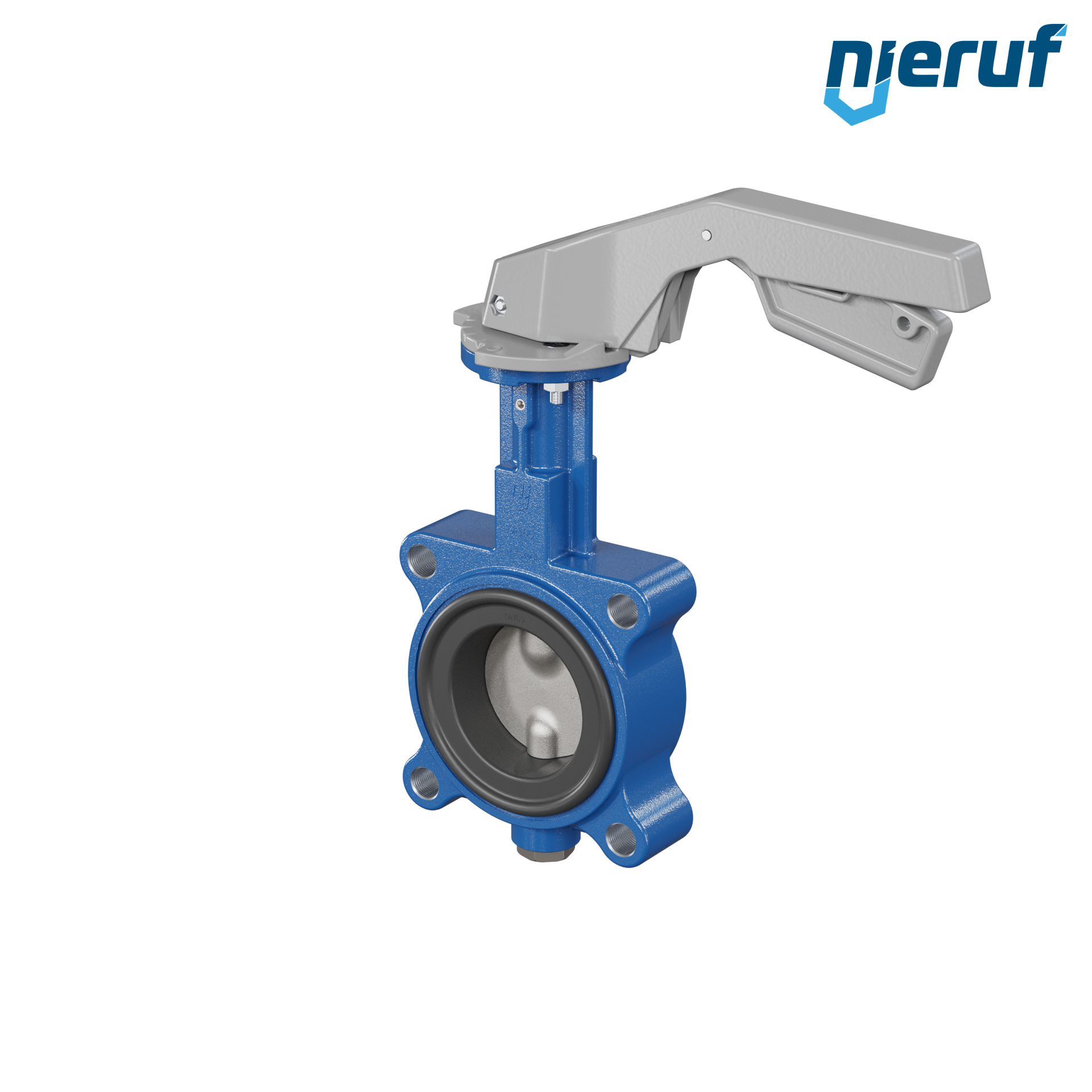 Butterfly valve AK02 DN 65 PN10-PN16 FPM