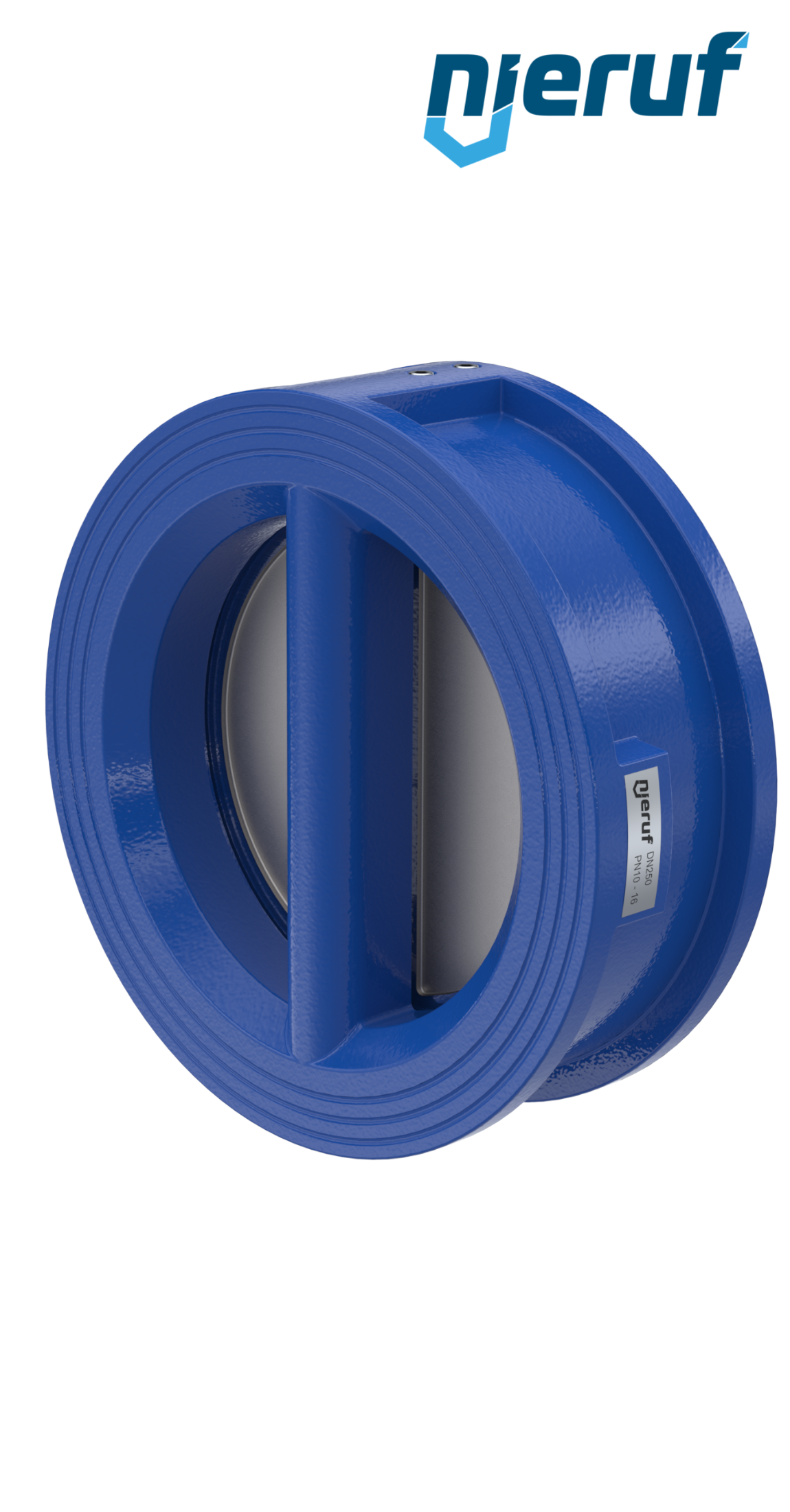 dual plate check valve DN250 DR02 ANSI 150 GGG40 epoxyd plated blue 180µm NBR