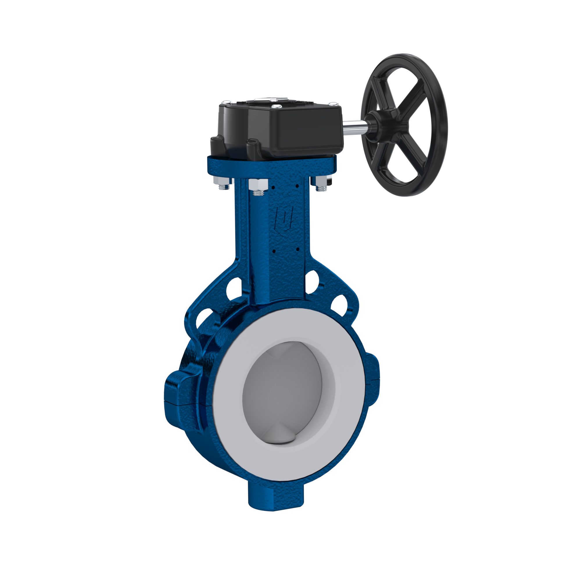 PFA-Butterfly-valve PTFE AK09 DN80 PN10-PN16 handwheel gearbox FKM insert
