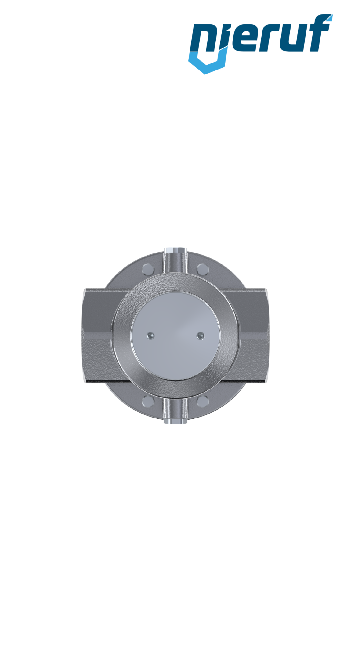 precision-pressure reducing valve with secondary venting 2" inch DM15 stainless steel FKM 0.5 - 15 bar