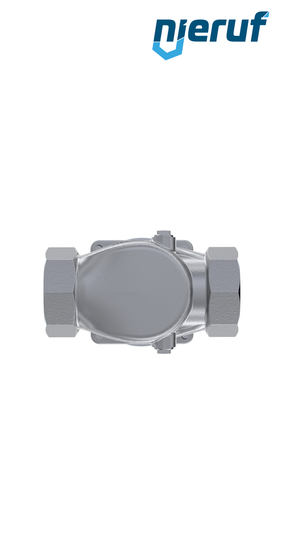Piston-pressure reducing valve 1 1/2" Inch NPT DM10 stainless steel FPM / FKM 2.0 - 20.0 bar