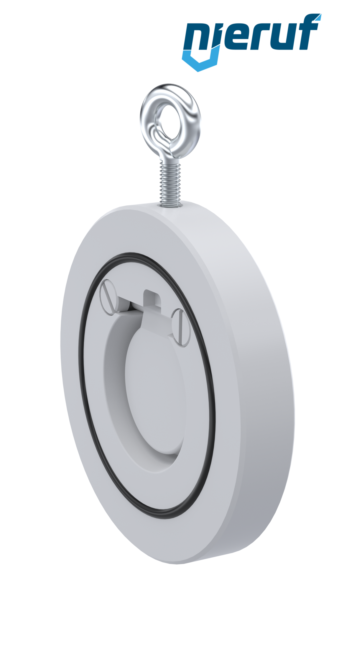 swing check valve DN40 ZR12 plastic PVDF FKM