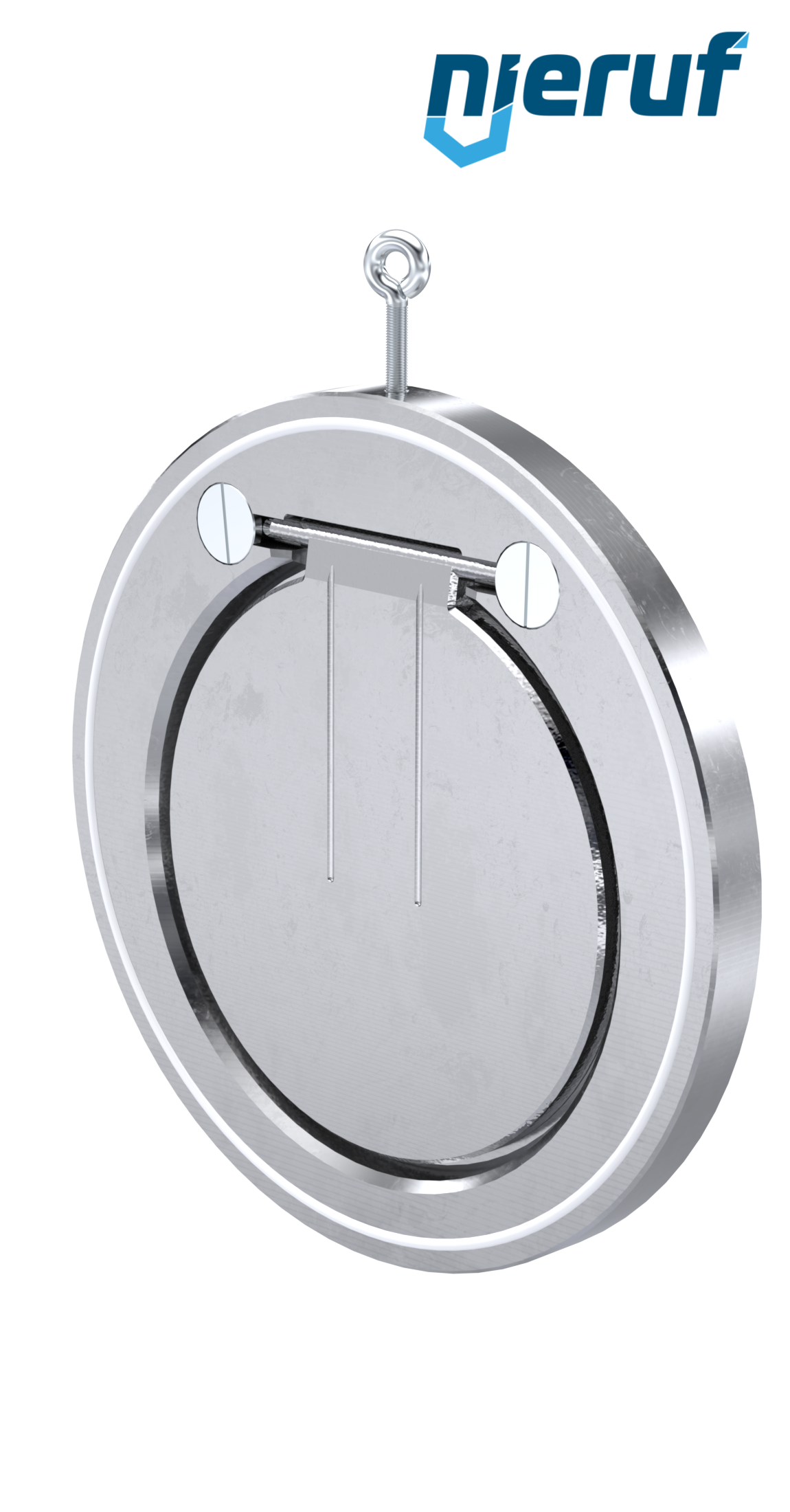 swing check valve DN250 ZR02 stainless steel A351 CF8M PTFE
