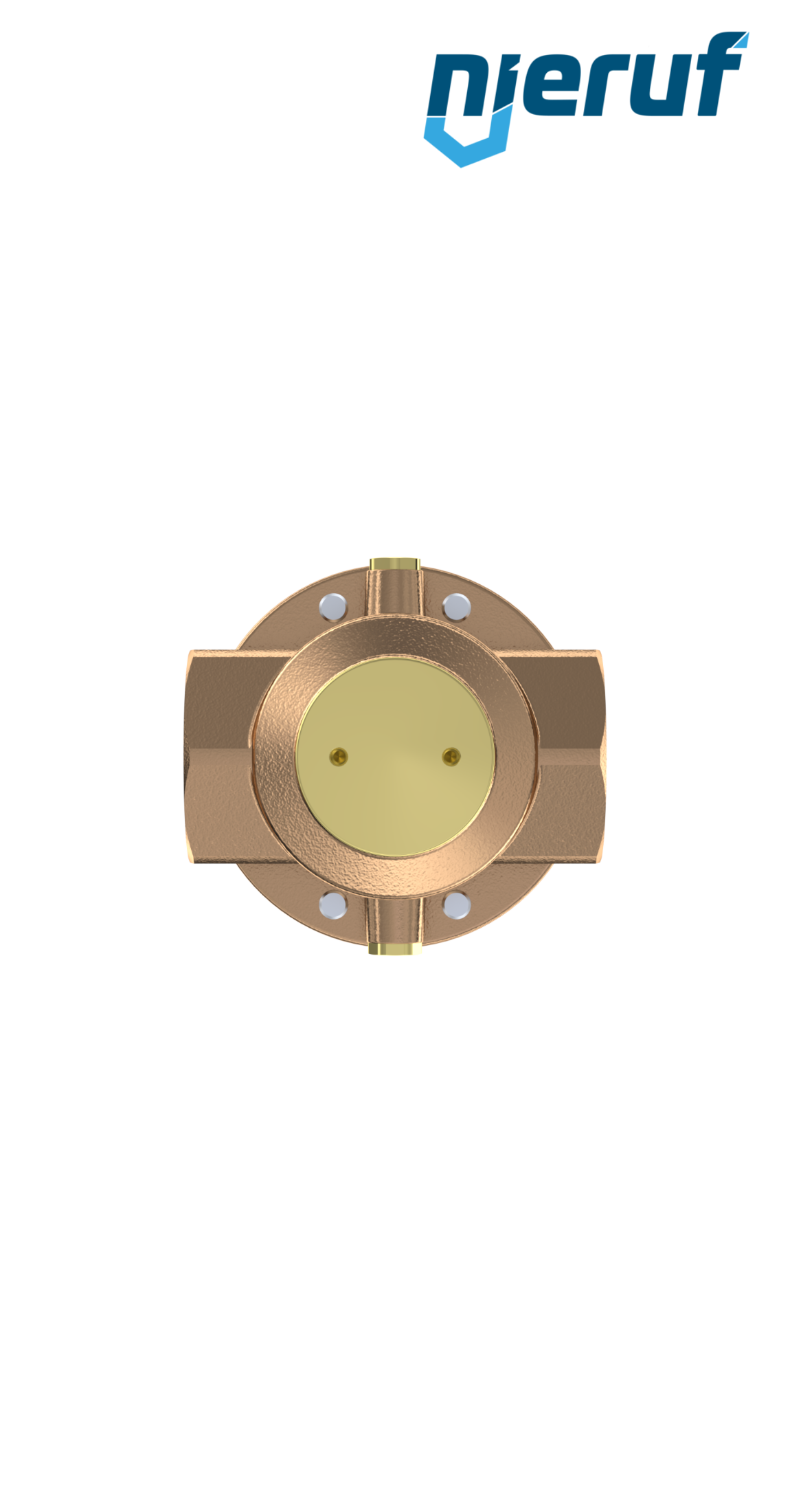 precision-pressure reducing valve with secondary venting 2" inch DM14 gunmetal FKM 0.5 - 15 bar