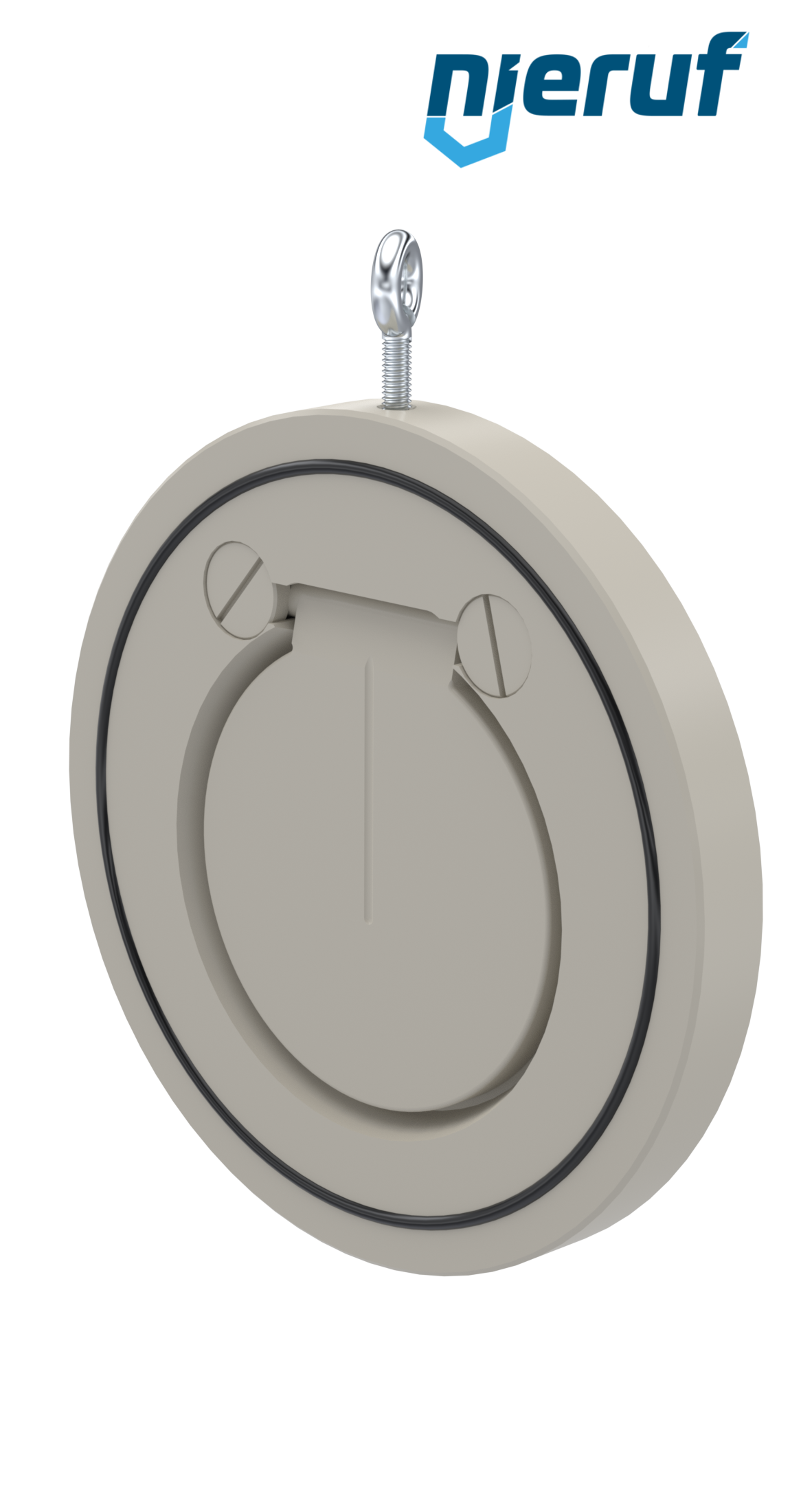 swing check valve DN100 ZR06 plastic PP-H FKM (Viton)