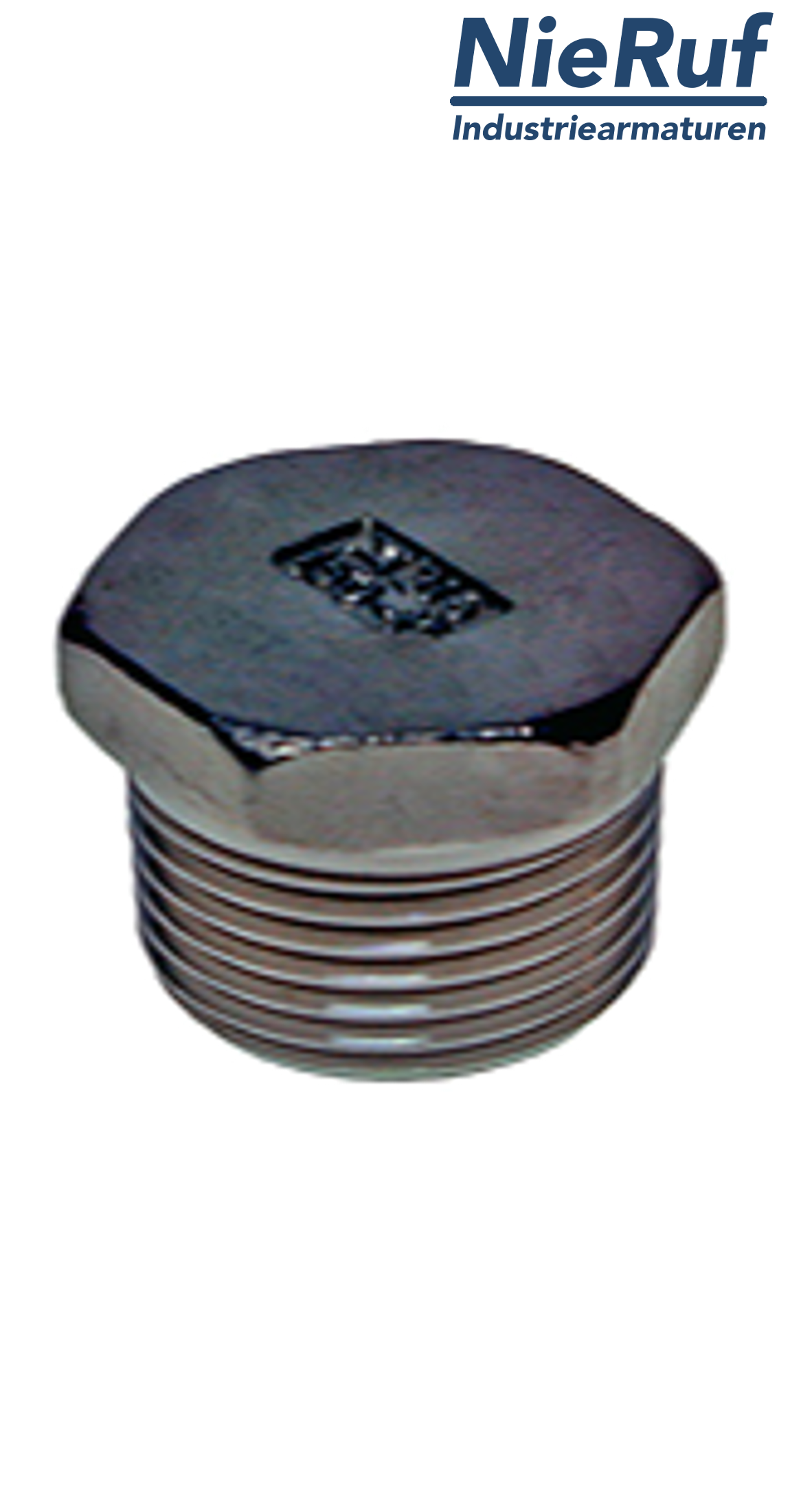 plug 1/4" inch NPT male stainless steel 316L