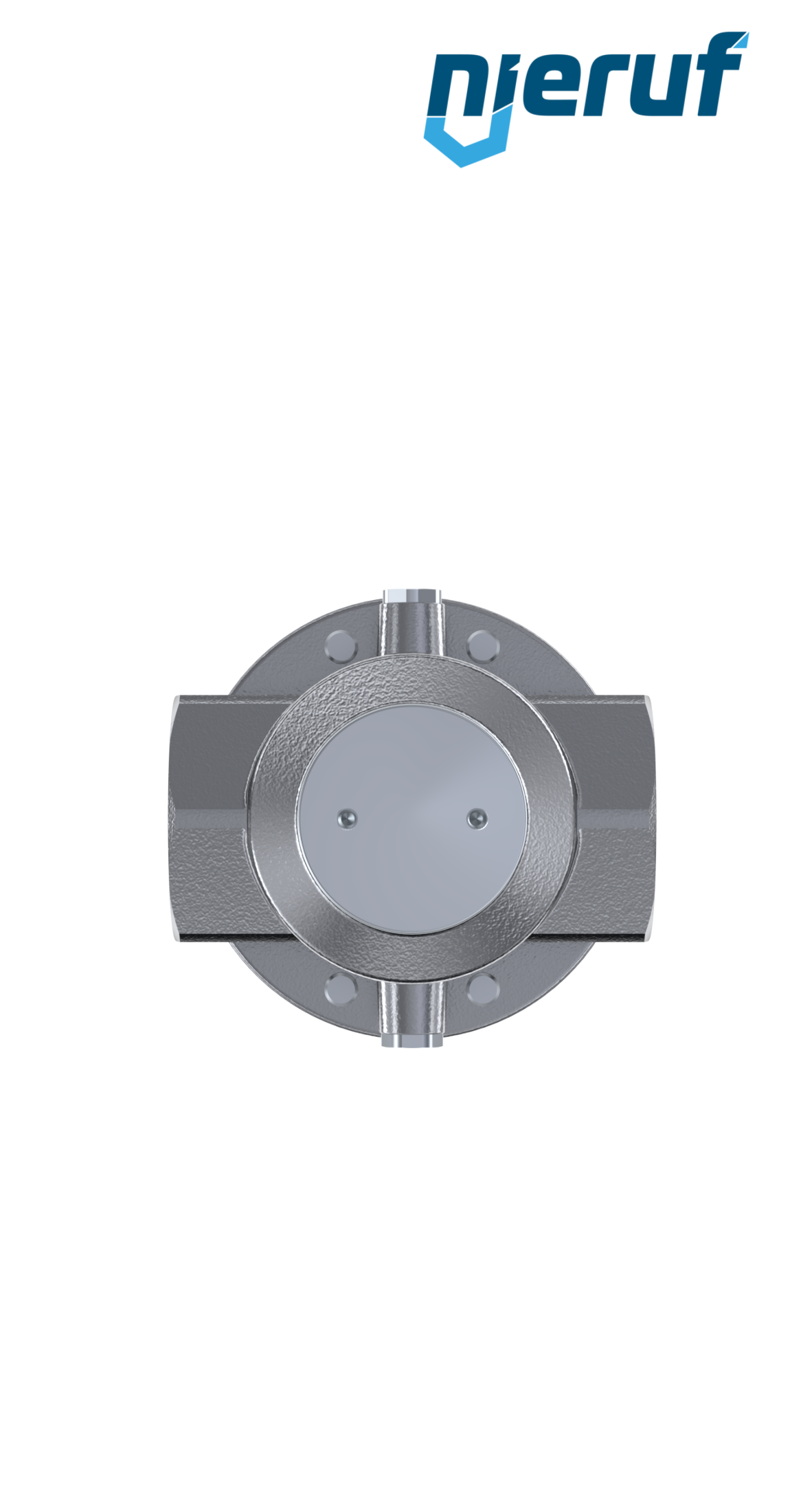 precision-pressure reducing valve 2" inch DM15 stainless steel EPDM 10.0 - 50.0 bar