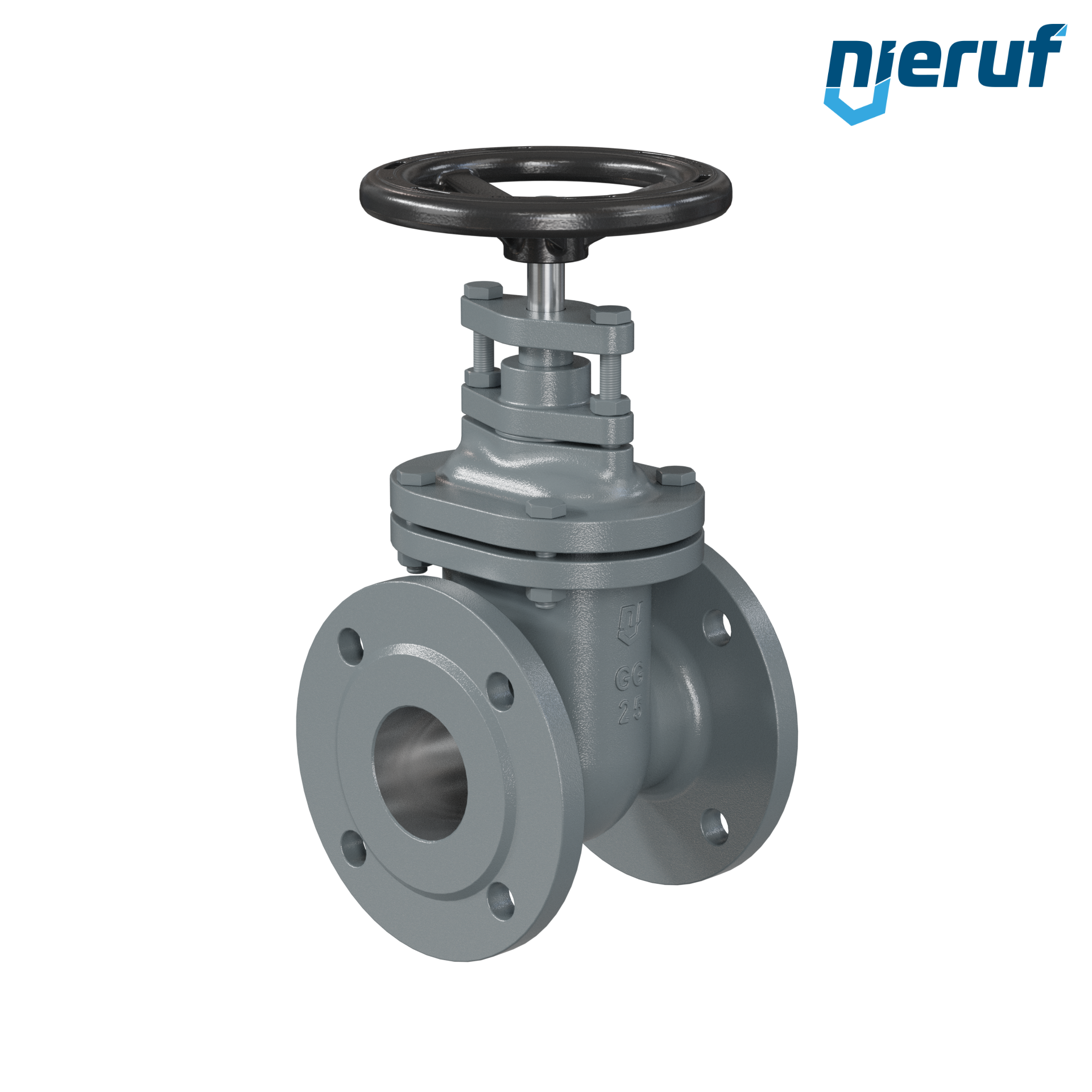 Wedge Gate Valve (flat form) made of cast iron EN-GJL-250 AS06 DN65 PN10 with internal spindle