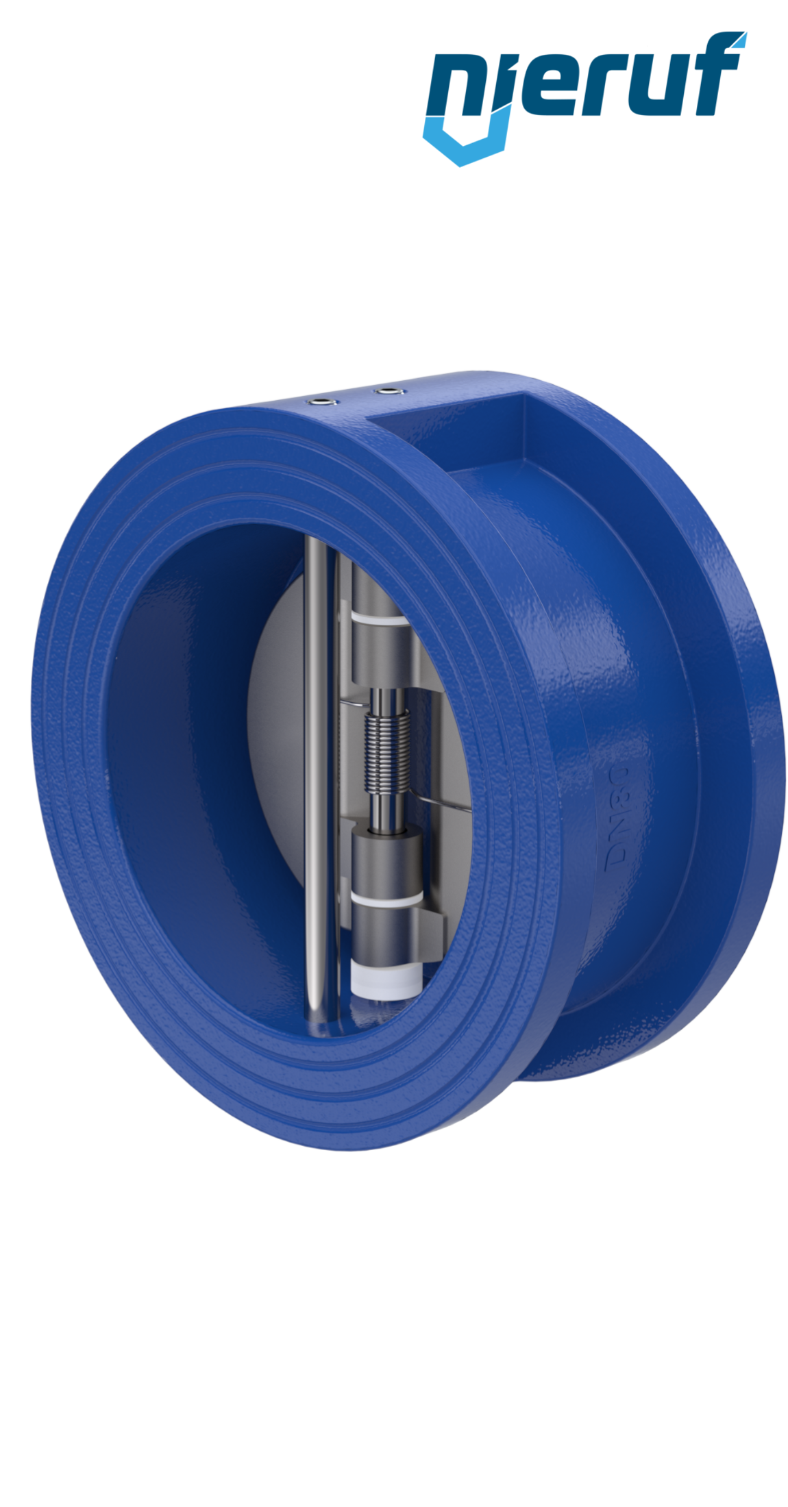 dual plate check valve DN80 DR02 GGG40 epoxyd plated blue 180µm FKM (Viton)