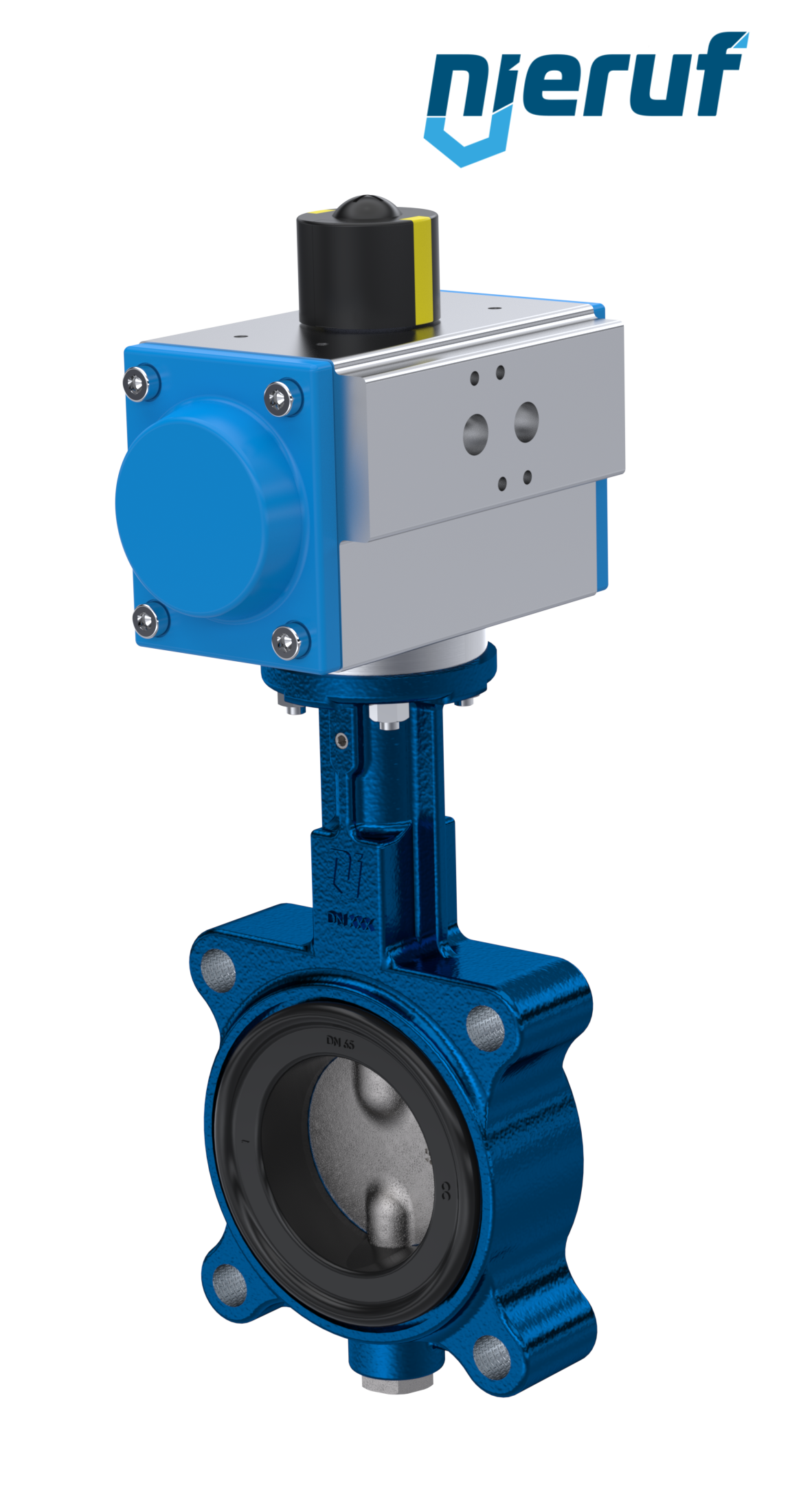 Butterfly valve DN 65 AK02 FPM pneumatic actuator double acting
