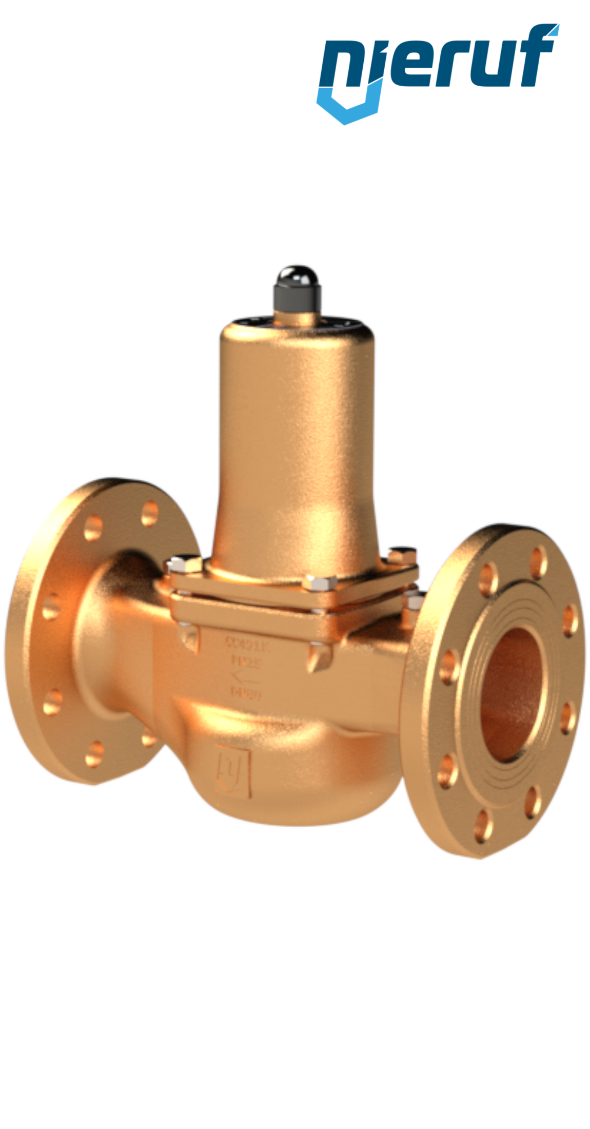 pressure reducing valve DN 65 PN16 DM06 gunmetal/brass FKM 1.0 - 8.0 bar