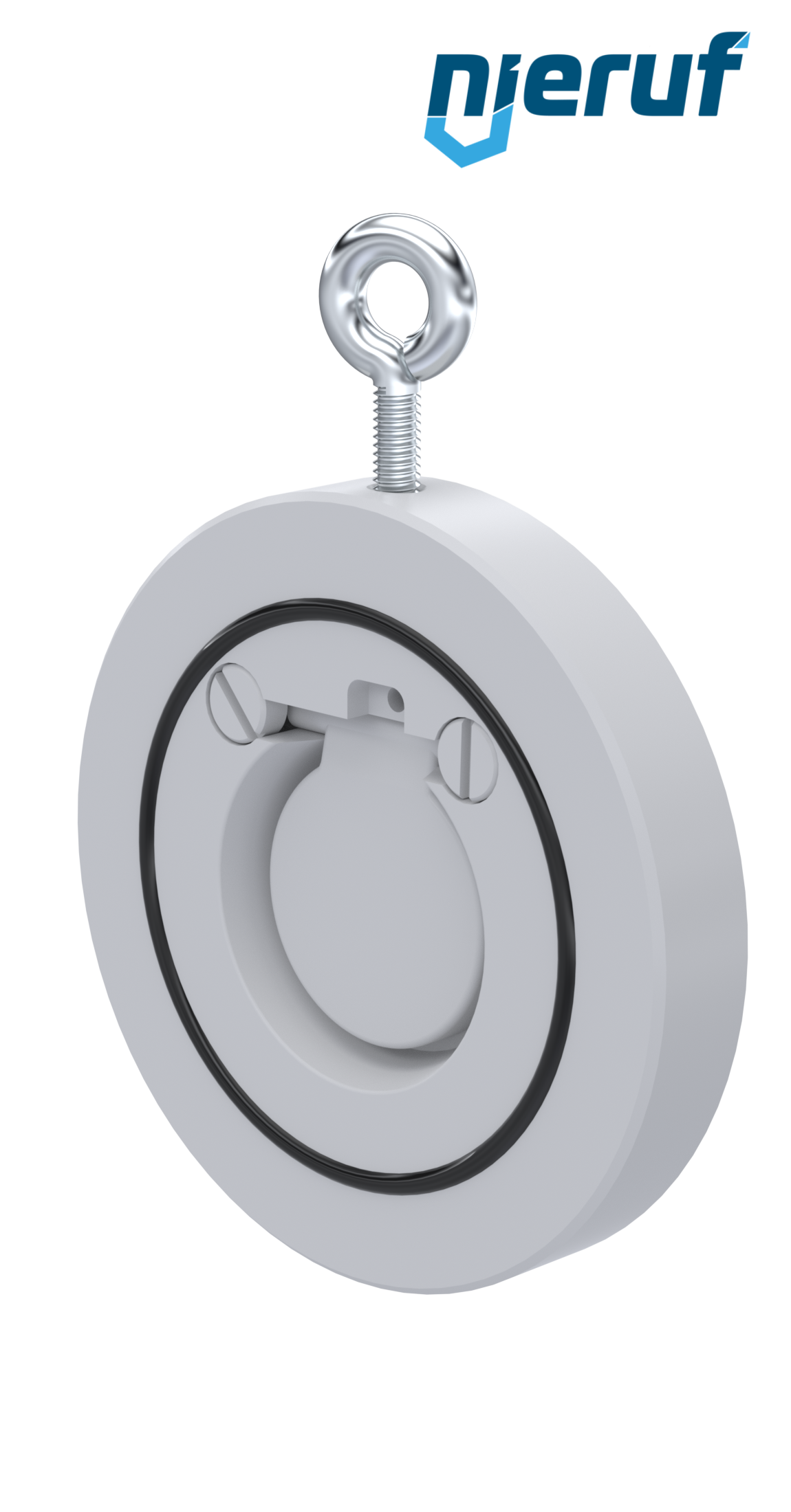swing check valve DN40 ZR12 plastic PVDF FKM