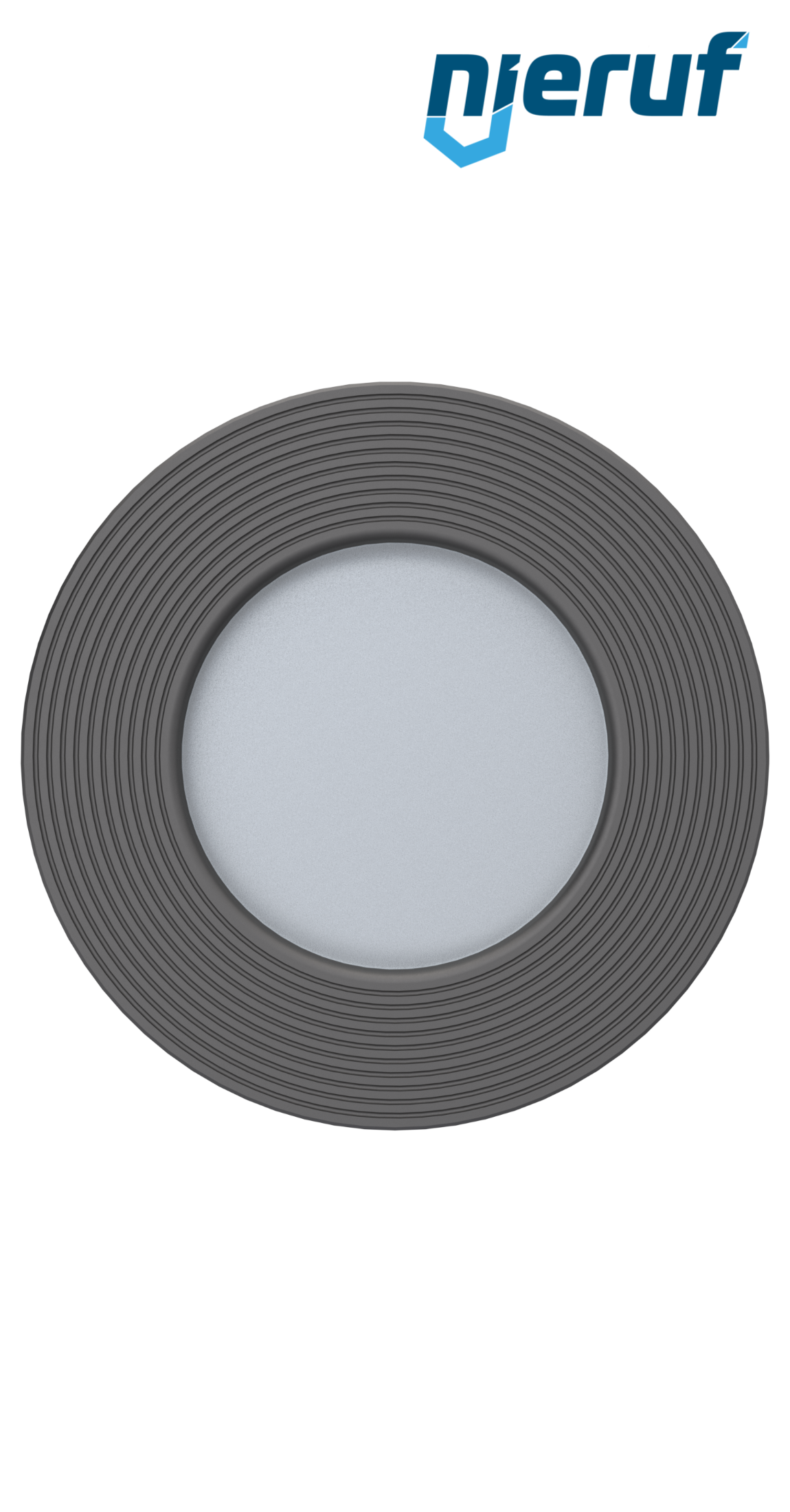check valve DN 200 spheroidal graphite cast iron PTFE PN 10-16 (+ASME B16.5 ANSI 150)