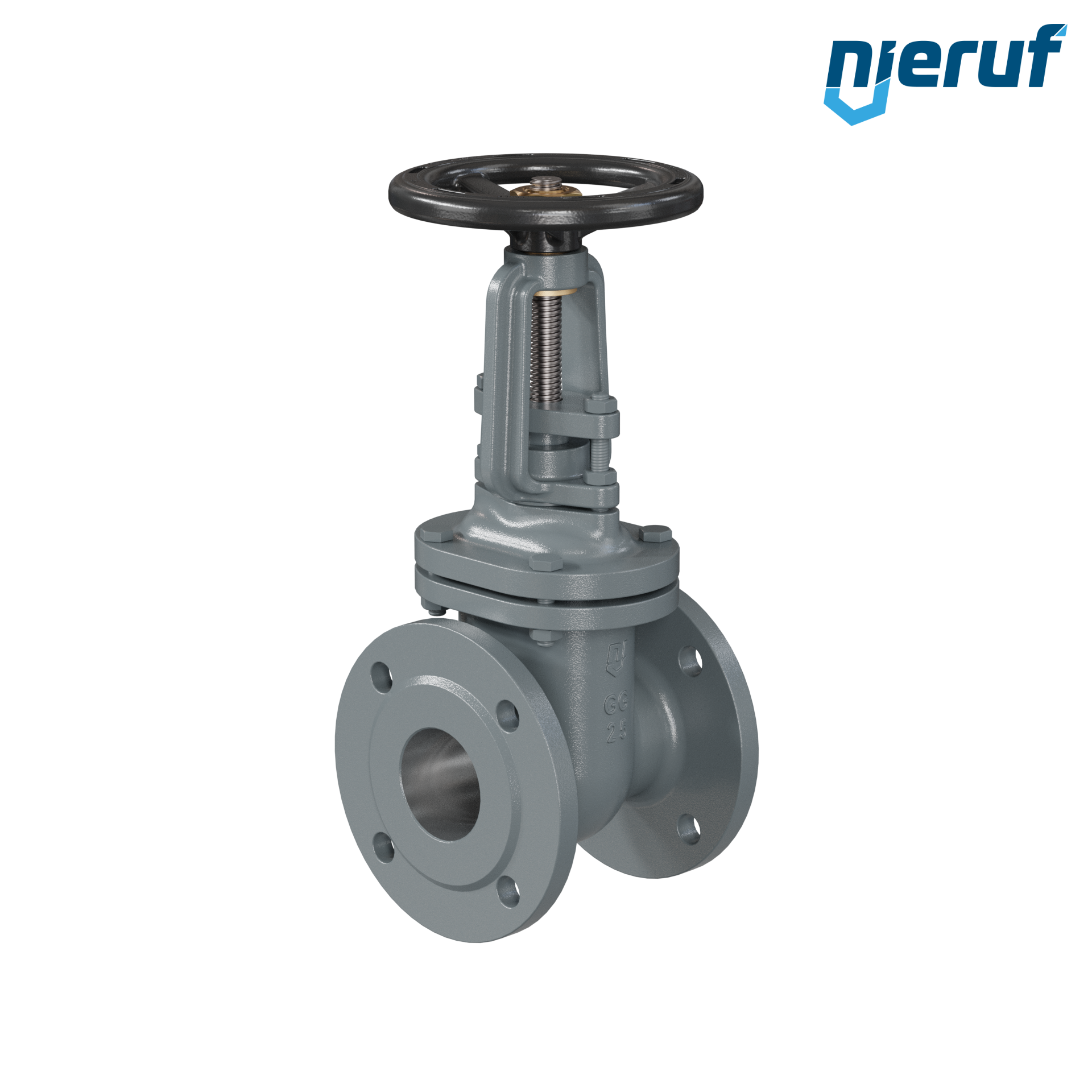 Wedge Gate Valve (flat form) made of cast iron EN-GJL-250 AS06 DN65 PN10 with rising stem