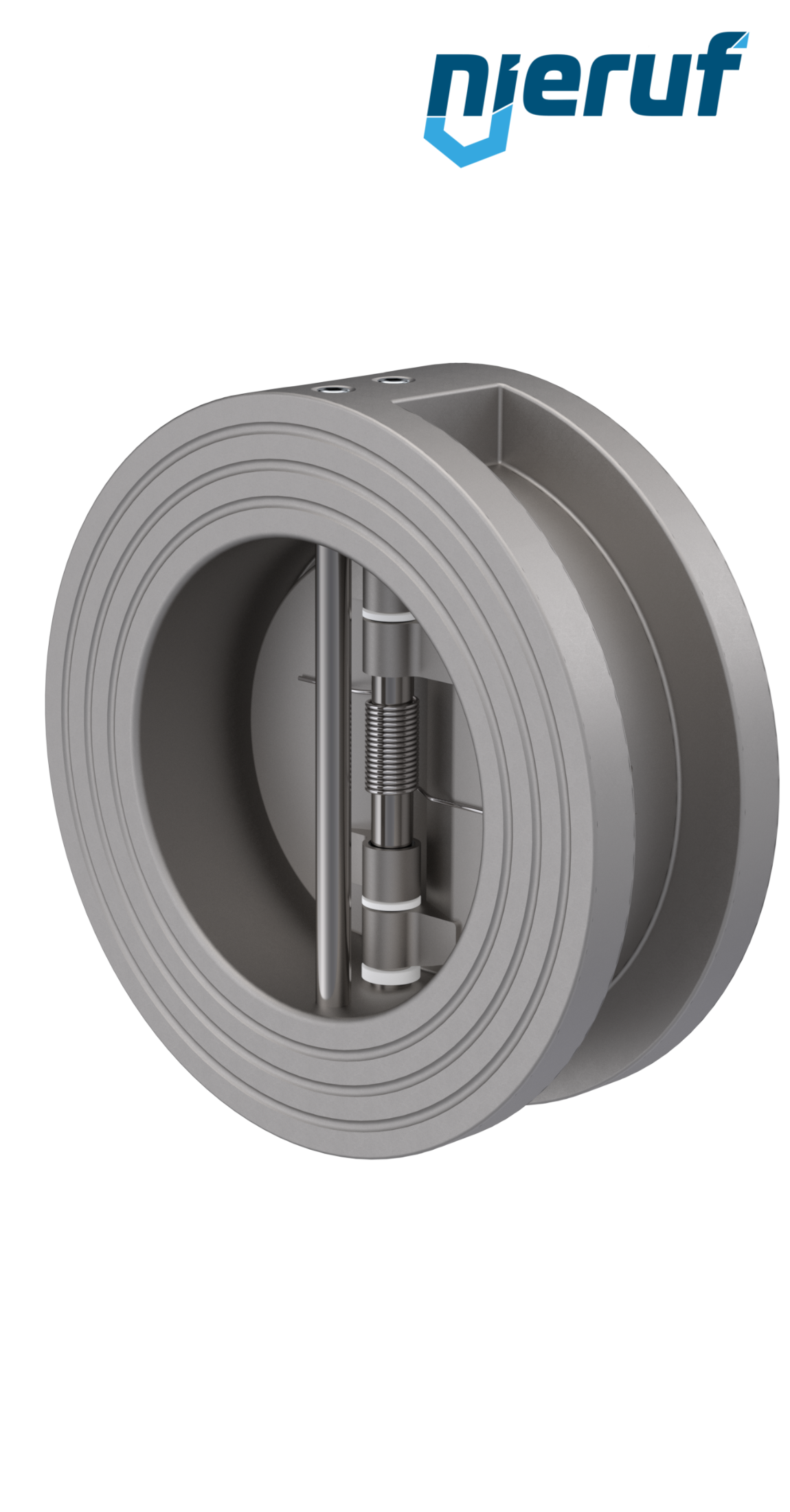 dual plate check valve DN65 DR03 stainless steel 1.4408 NBR