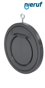 swing check valve DN125 ZR05 plastic PVC-U EPDM